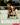 100 Leg Workouts - Thundrbro