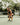 100 Leg Workouts - Thundrbro