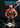 Shredded at Home E-Book - Thundrbro