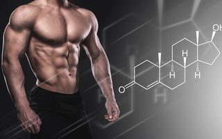 Unleashing the Power of Hypertrophy Work: Boosting Testosterone Levels in Men