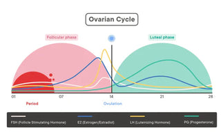 5 Ways to Know if You Have Hormonal Disfunction