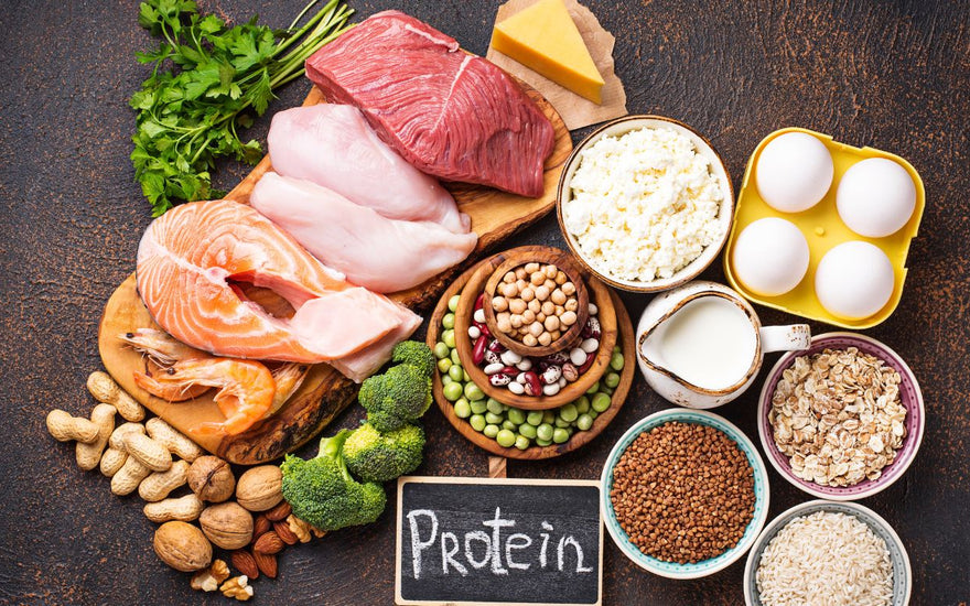 Protein & Strength for Women: How to Eat & Train for Lean Muscle